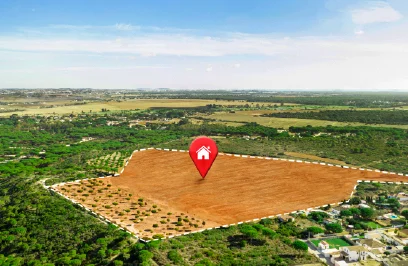Land Conversion Process in India
